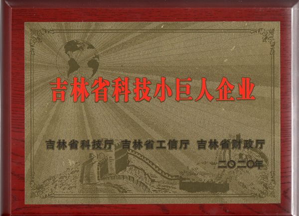 0尊龙凯时物业获“吉林省科技小巨人企业”称呼_副本.jpg